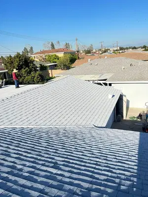 Roof Repair Expert