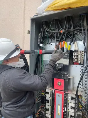 Johnson Electric and Controls
