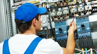 Eleos Electric CSLB1009044