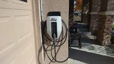 Bear Copper Electric