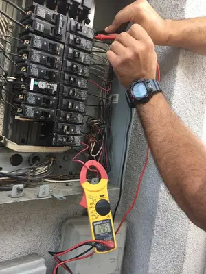 U.S. Electric Force