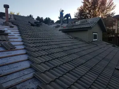 Roof Evolution, LLC
