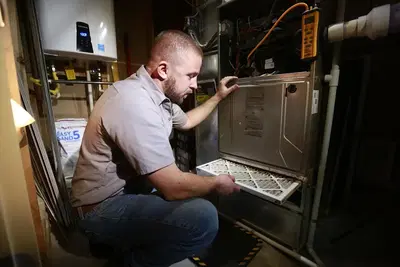 Business Photo