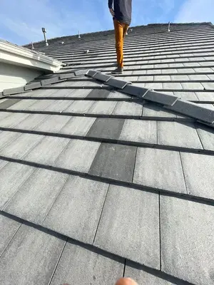 Ninja Roofs