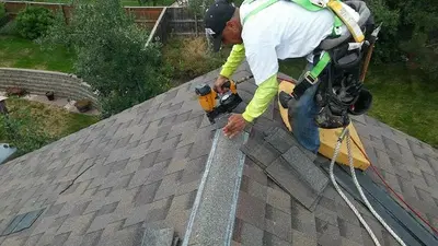 Bear Paw Roofing