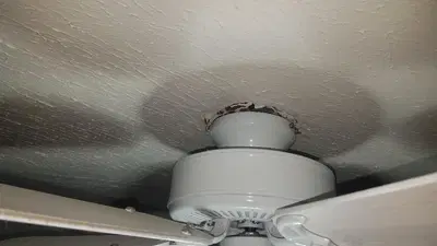 Rocky Mountain Electrical Services