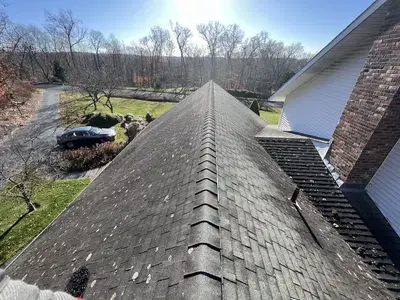 Brown Roofing