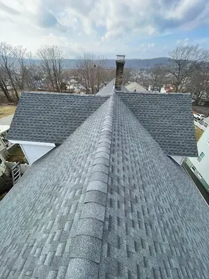 David Roofing Full Construction and Tree Remove LLC