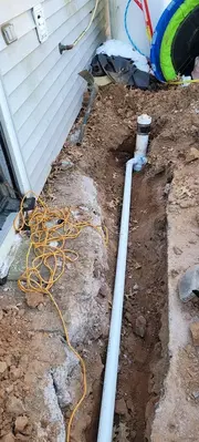 Pro Rooter