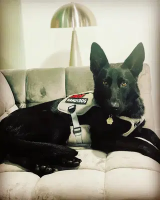 Business Photo