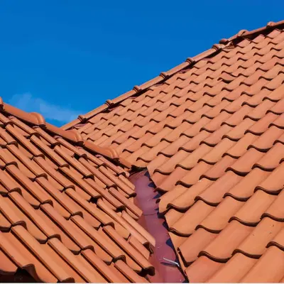 Salomon Roofing & Waterproofing