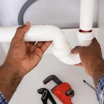 Roy the Plumbing Pro LLC