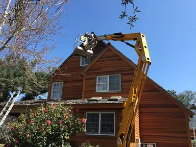 Branik Construction and Painting