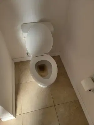 Ace Handyman Services