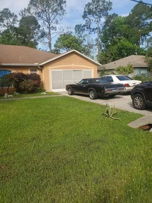 Drew's Painting and Home Repairs