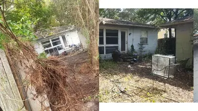 Curbsideappeal Handyman