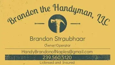 Brandon the Handyman LLC