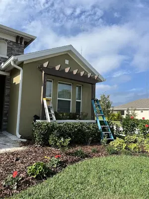 Handyman solutions-Pro Painters and Tree service.
