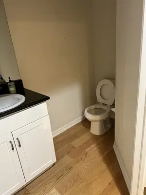 5-Star Handyman, Mark Anthony