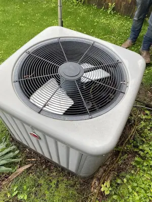 Ideal Climate Experts