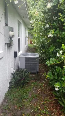 Tropical Air of Central Fl