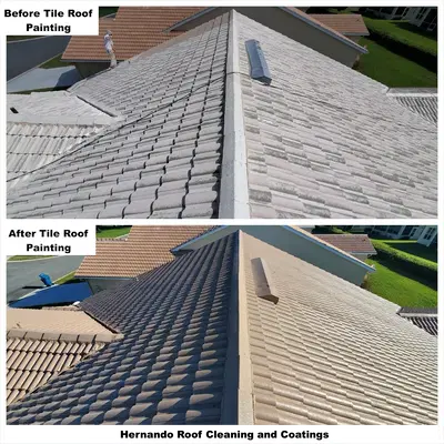 Hernando Roof Cleaning & Coatings