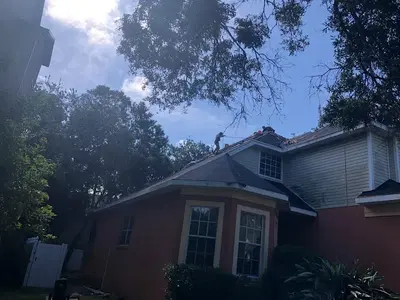 Professional Roof Technology