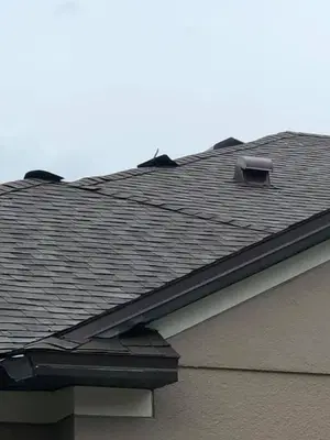 Menzel Roofing Services, LLC