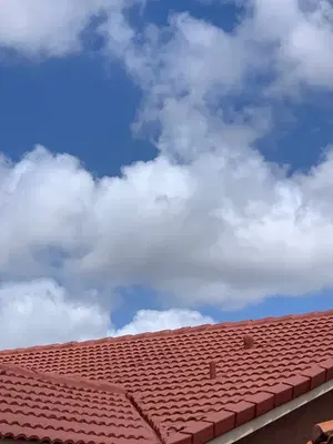 Mr & Mrs Shingles Roofing