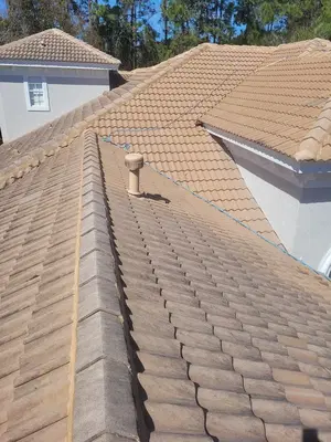 Peerless Pressure Roof Washing Inc.
