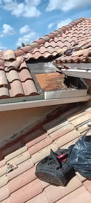 Restored Roofing