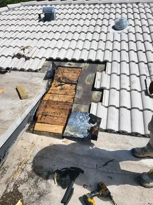 Sunny's roof repair