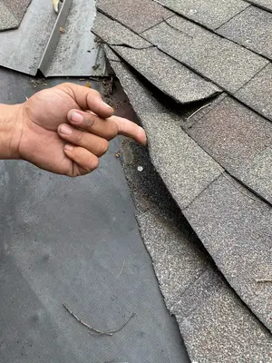 Mighty Dog Roofing SWFL