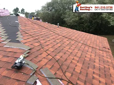 Red Dog's Roofing of Florida