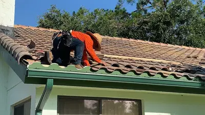Salt Roofing