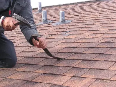 Planet Roofing Co
