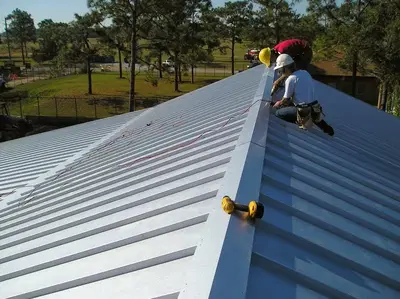 Professional Roofing Co
