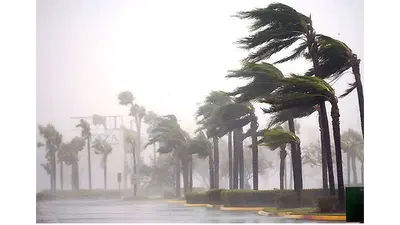Hurricane Roofer LLC
