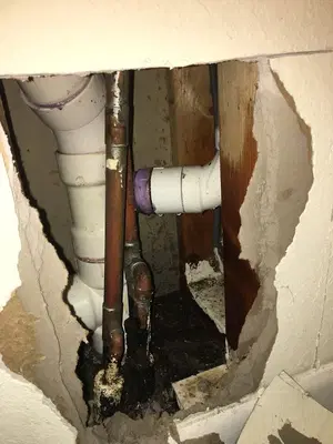 All County Plumbing and Leak