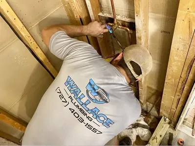 Wallace Plumbing LLC
