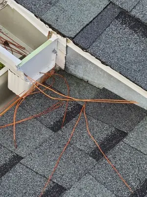 Steve's Roofing & Repairs LLC.