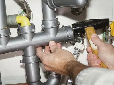 The Clean Plumbers