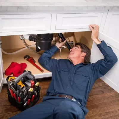 Revenge Plumbing