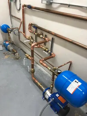 Lion Plumbing, Inc.