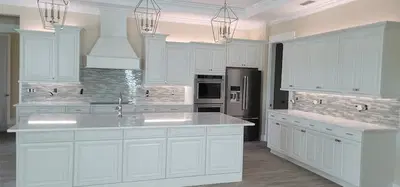 The Electrical Professional Of Florida