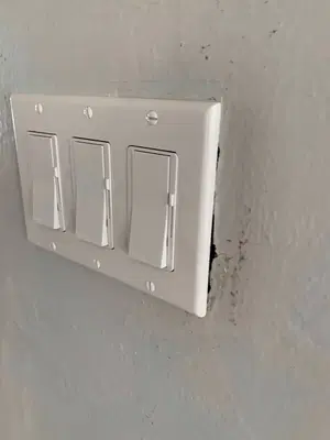 Live Wire Electric, Inc.