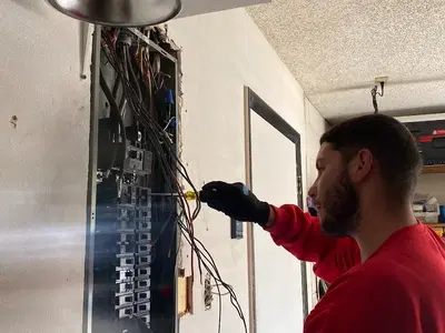 Dino Electric LLC
