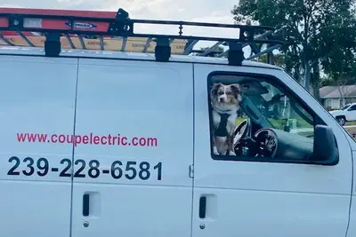 Business Photo