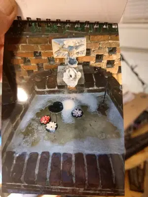 Fish skills inc.