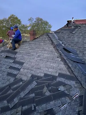 Alliance Specialty Contractor, Inc.